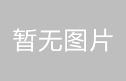 撥動開關的機械性能